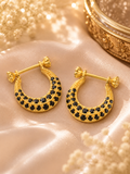 Earrings / Durr (Pair)